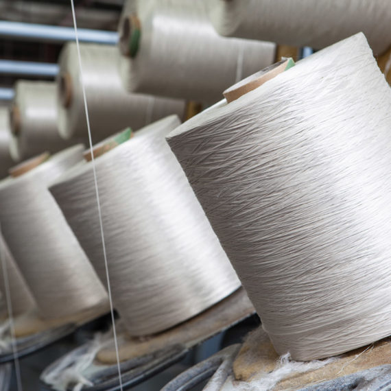 צילום אריגה