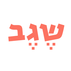 שגב משה